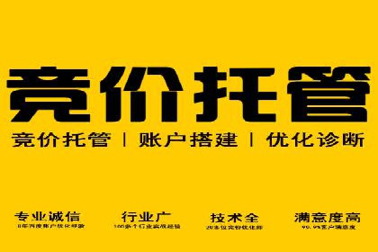 百度推广平台在电商行业的应用成功案例